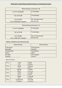 Мужской и женский род прилагательных в итальянском языке